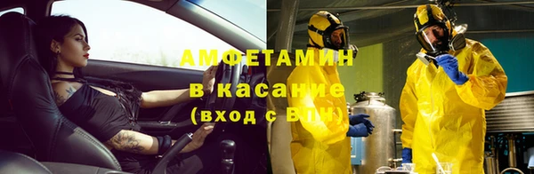 ешки Аркадак