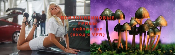 ешки Аркадак