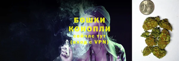 крисы Арсеньев