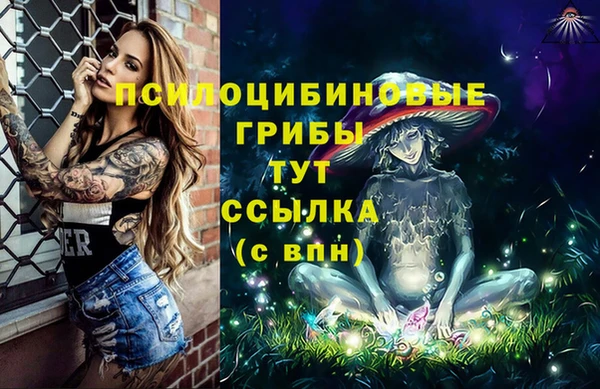 ешки Аркадак